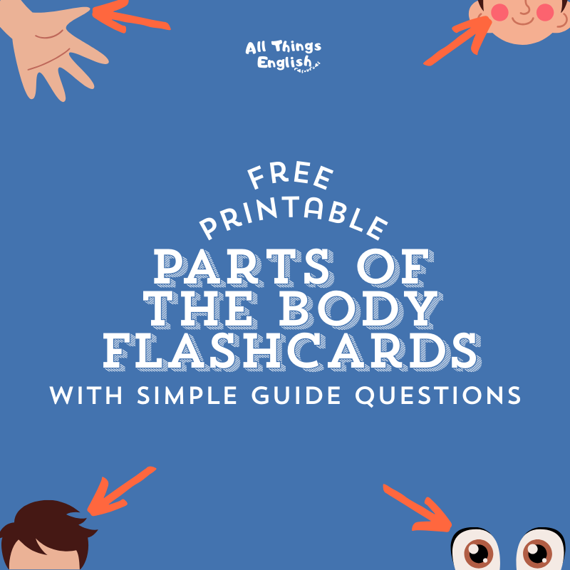 GRATIS Parts of the Body Flashcards