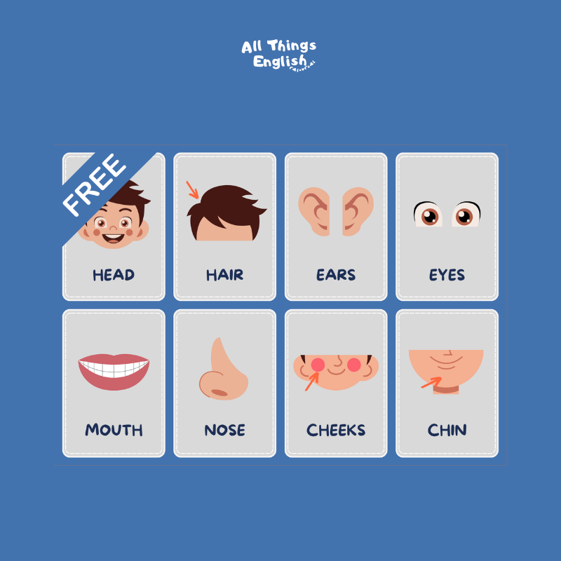 GRATIS Parts of the Body Flashcards